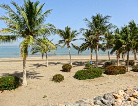 Corniche Al Qurm Area Guide