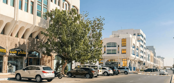 Al Baheya Building