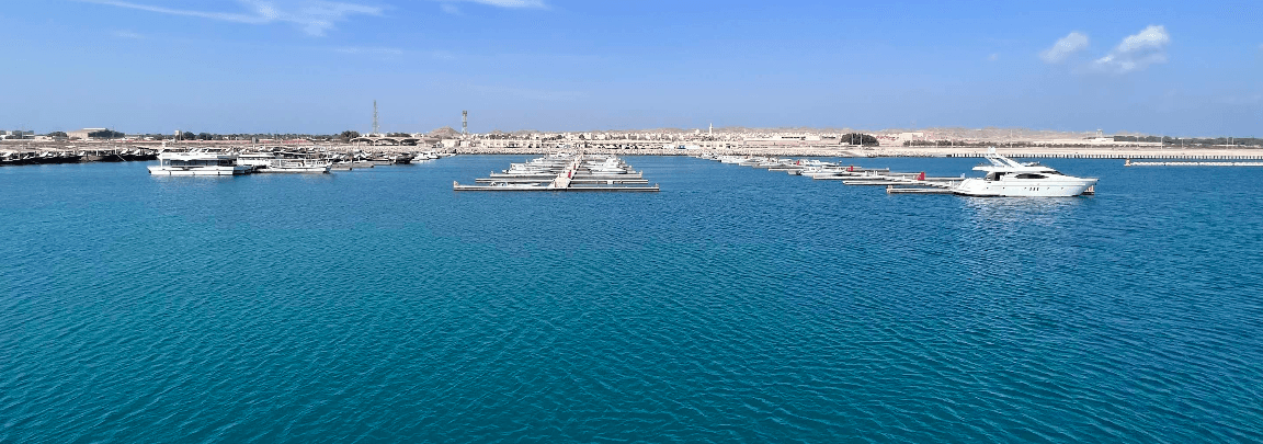 جزيرة دانة