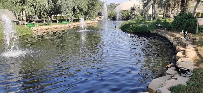 The Sustainable City - Yas Island